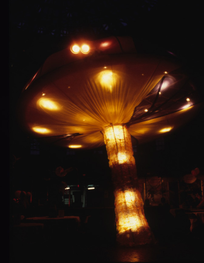 Supercilious Mushroom